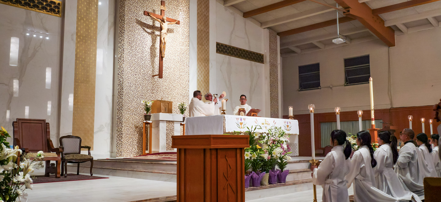 Celebration of the Most Holy Eucharist